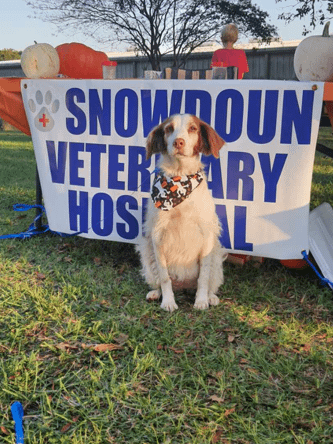 Snowdoun Veterinary Hospital in Montgomery, Alabama