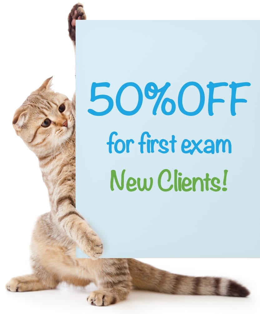 New Clients Snowdoun Veterinary Hospital